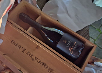 Team VIVA Weihnachtsessen 2025